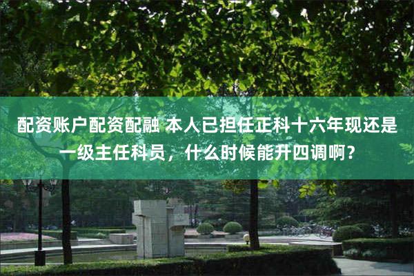 配资账户配资配融 本人已担任正科十六年现还是一级主任科员，什么时候能升四调啊？