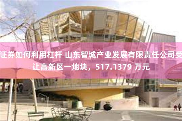证券如何利用杠杆 山东智城产业发展有限责任公司受让高新区一地块，517.1379 万元