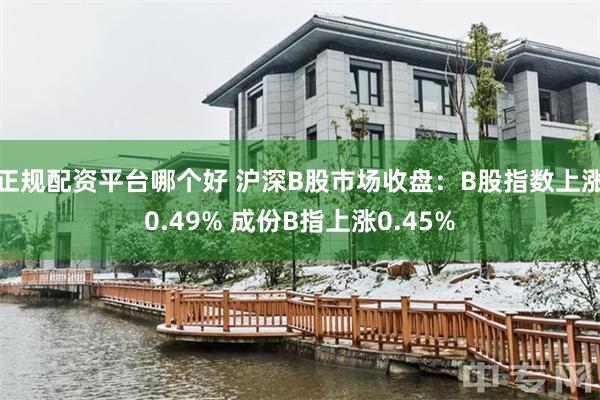 正规配资平台哪个好 沪深B股市场收盘：B股指数上涨0.49% 成份B指上涨0.45%