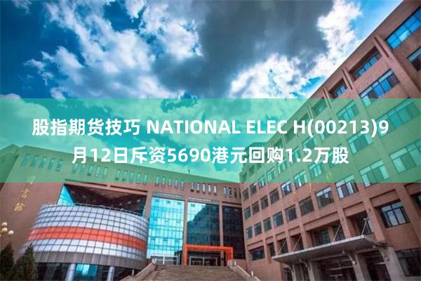 股指期货技巧 NATIONAL ELEC H(00213)9月12日斥资5690港元回购1.2万股