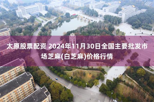 太原股票配资 2024年11月30日全国主要批发市场芝麻(白芝麻)价格行情