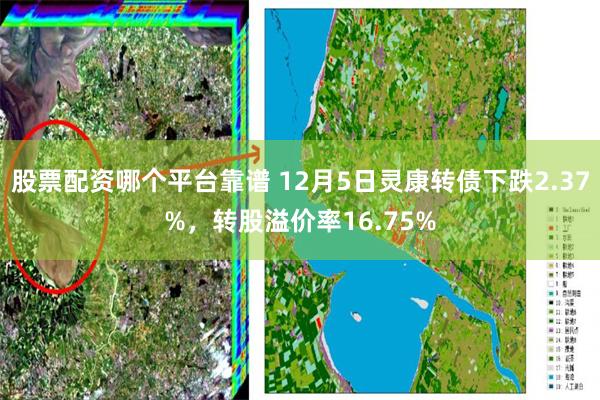 股票配资哪个平台靠谱 12月5日灵康转债下跌2.37%，转股溢价率16.75%