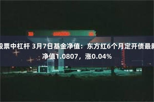 股票中杠杆 3月7日基金净值：东方红6个月定开债最新净值1.0807，涨0.04%