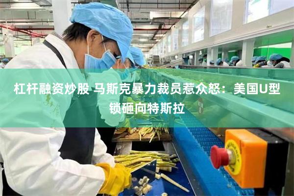 杠杆融资炒股 马斯克暴力裁员惹众怒：美国U型锁砸向特斯拉