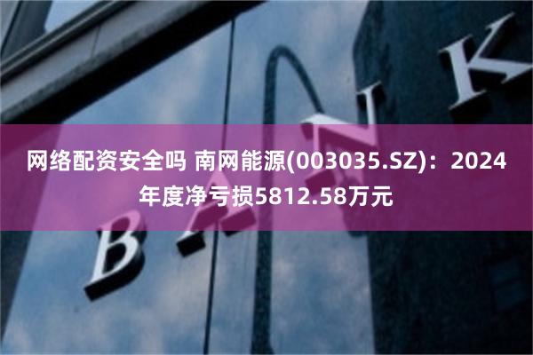 网络配资安全吗 南网能源(003035.SZ)：2024年度