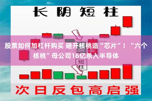 股票如何加杠杆购买 砸开核桃造“芯片”！“六个核桃”母公司1