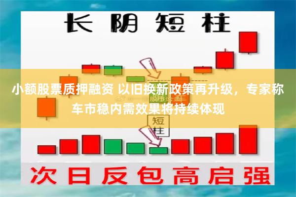 小额股票质押融资 以旧换新政策再升级，专家称车市稳内需效果将