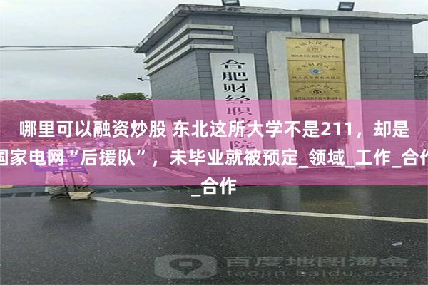 哪里可以融资炒股 东北这所大学不是211，却是国家电网“后援