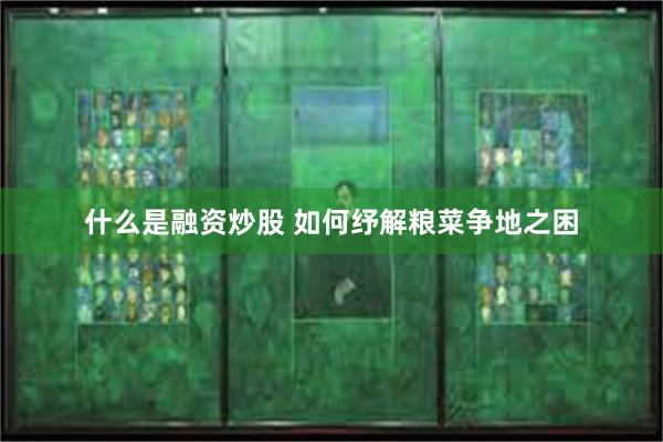 什么是融资炒股 如何纾解粮菜争地之困