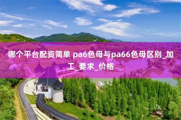 哪个平台配资简单 pa6色母与pa66色母区别_加工_要求_