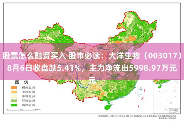 股票怎么融资买入 股市必读：大洋生物（003017）8月6日