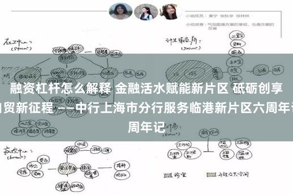 融资杠杆怎么解释 金融活水赋能新片区 砥砺创享自贸新征程 —